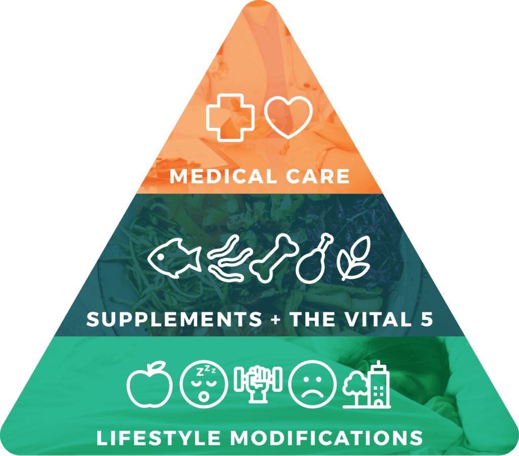 Wellness Pyramid