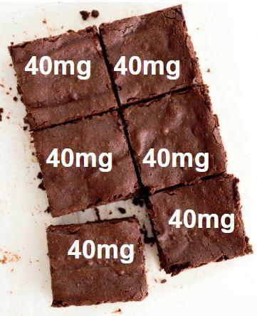 brownies cut into 6 squares