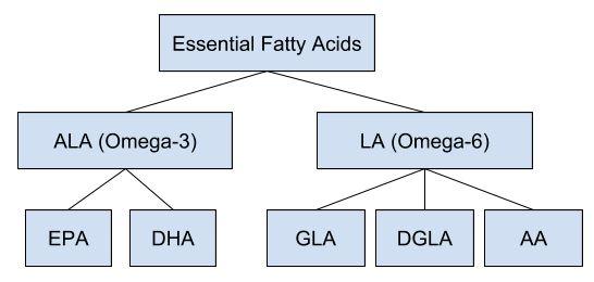 chart showing omega-3 of flaxseed