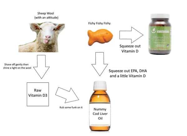 Sources of vitamin d supplements