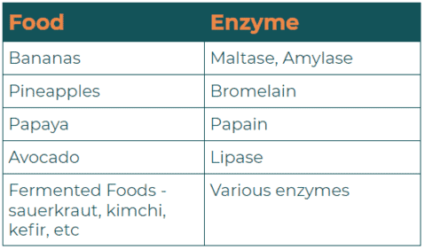 Digestive Enzymes And Their Functions Table