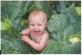 Healthy baby in a field of greens